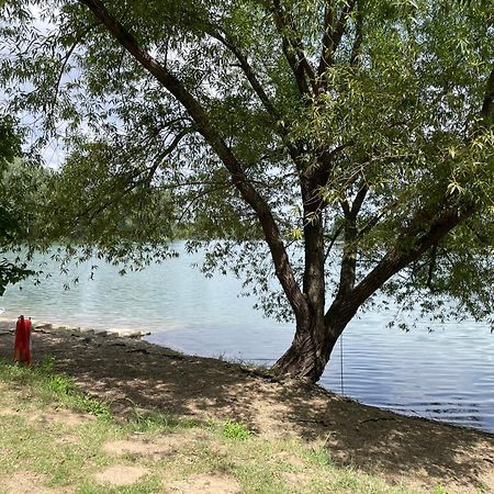 Camping Oaza Bela Crkva  Extérieur photo