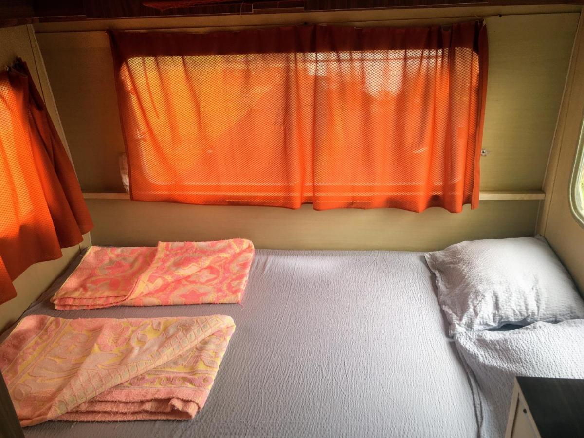 Camping Oaza Bela Crkva  Extérieur photo