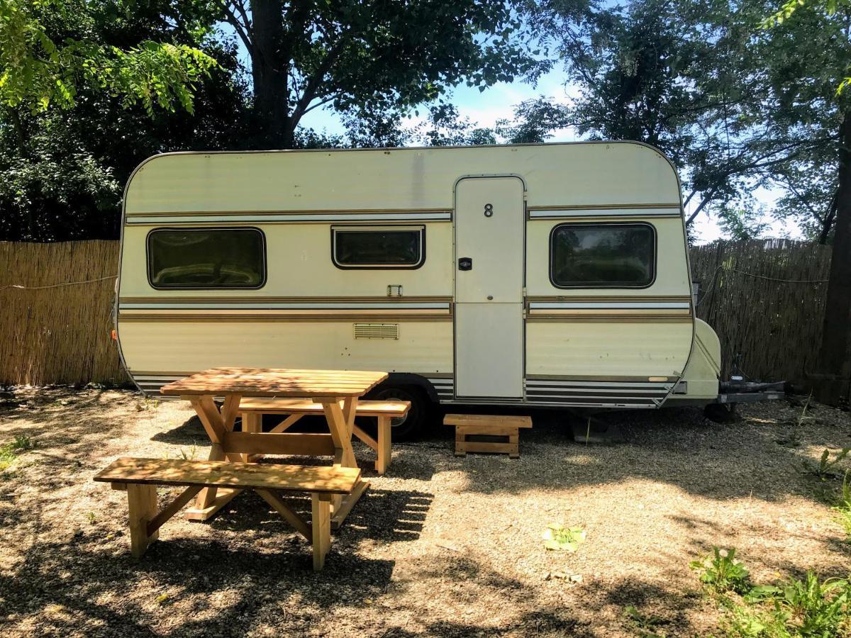 Camping Oaza Bela Crkva  Extérieur photo