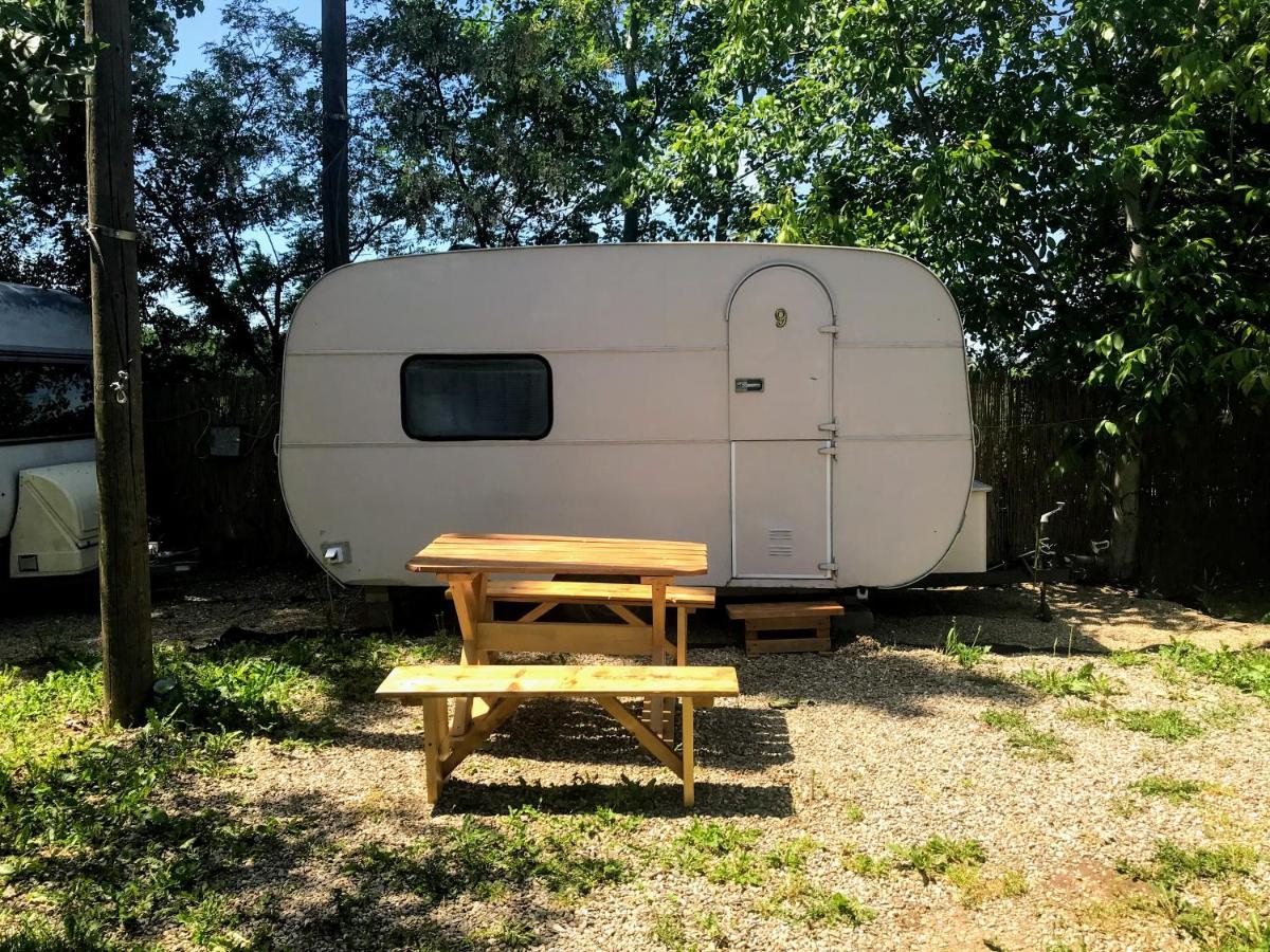 Camping Oaza Bela Crkva  Extérieur photo