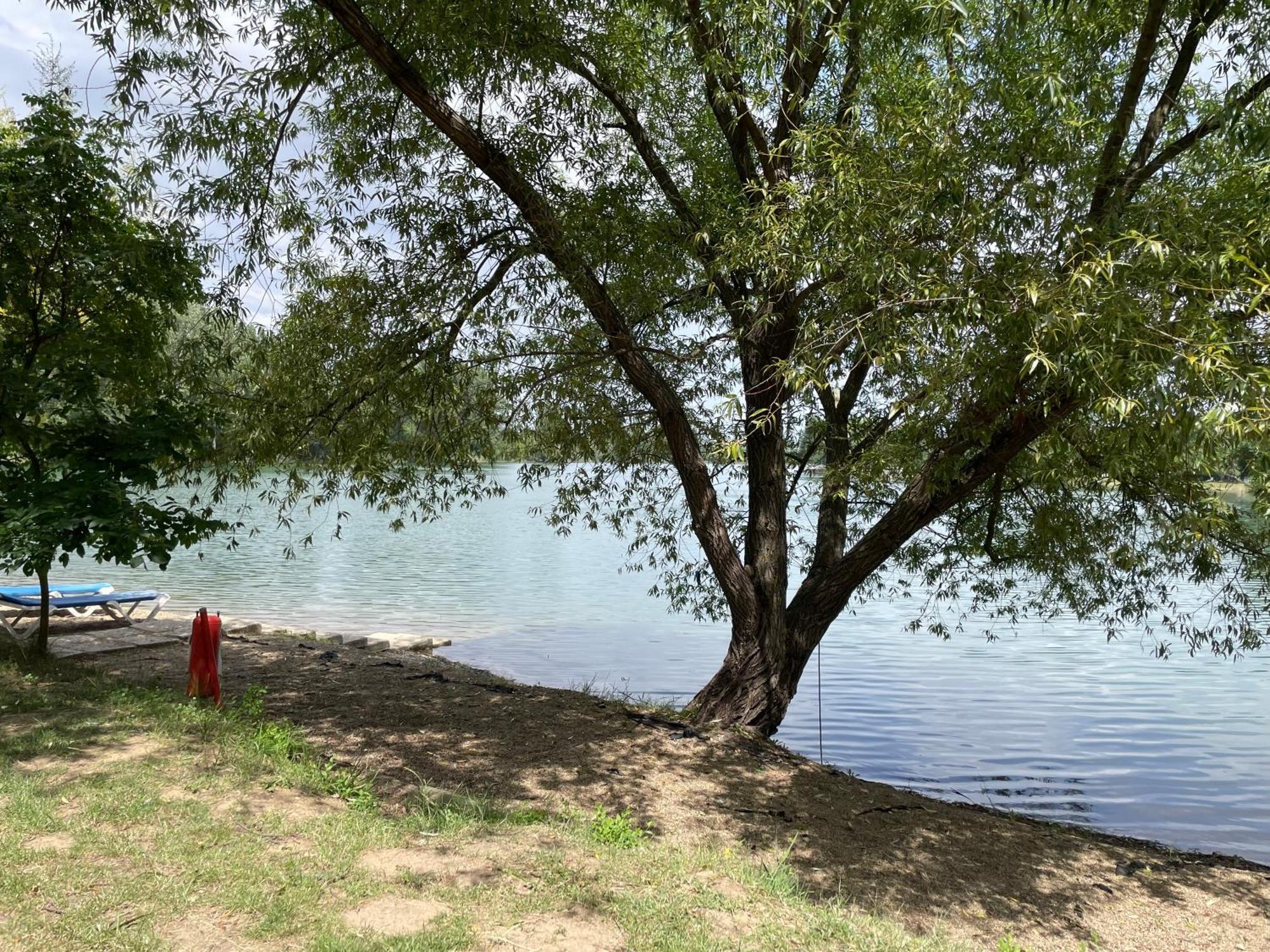 Camping Oaza Bela Crkva  Extérieur photo