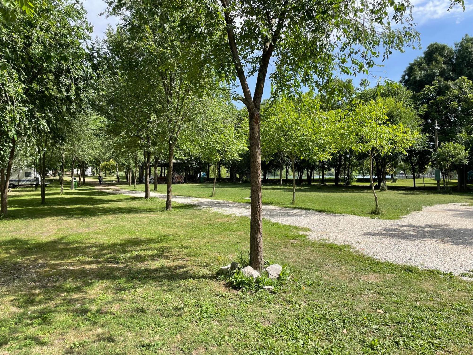 Camping Oaza Bela Crkva  Extérieur photo